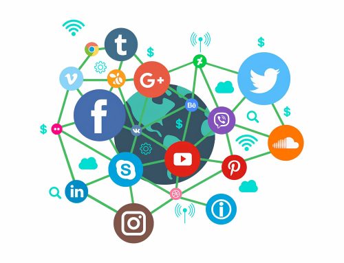 How Social Visibility Supports Search Trust